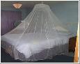 mosquito net,curtains